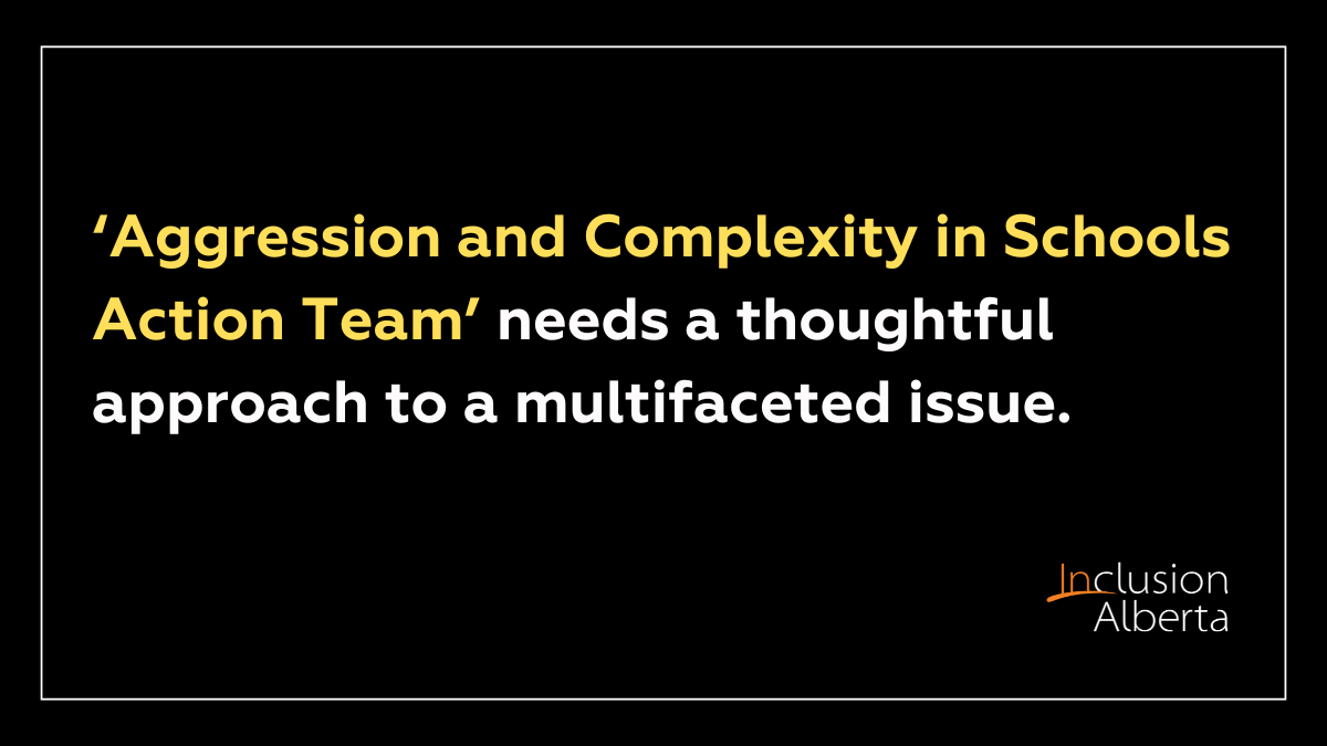 ‘Aggression and Complexity in Schools Action Team’ needs a thoughtful approach to a multifaceted issue
